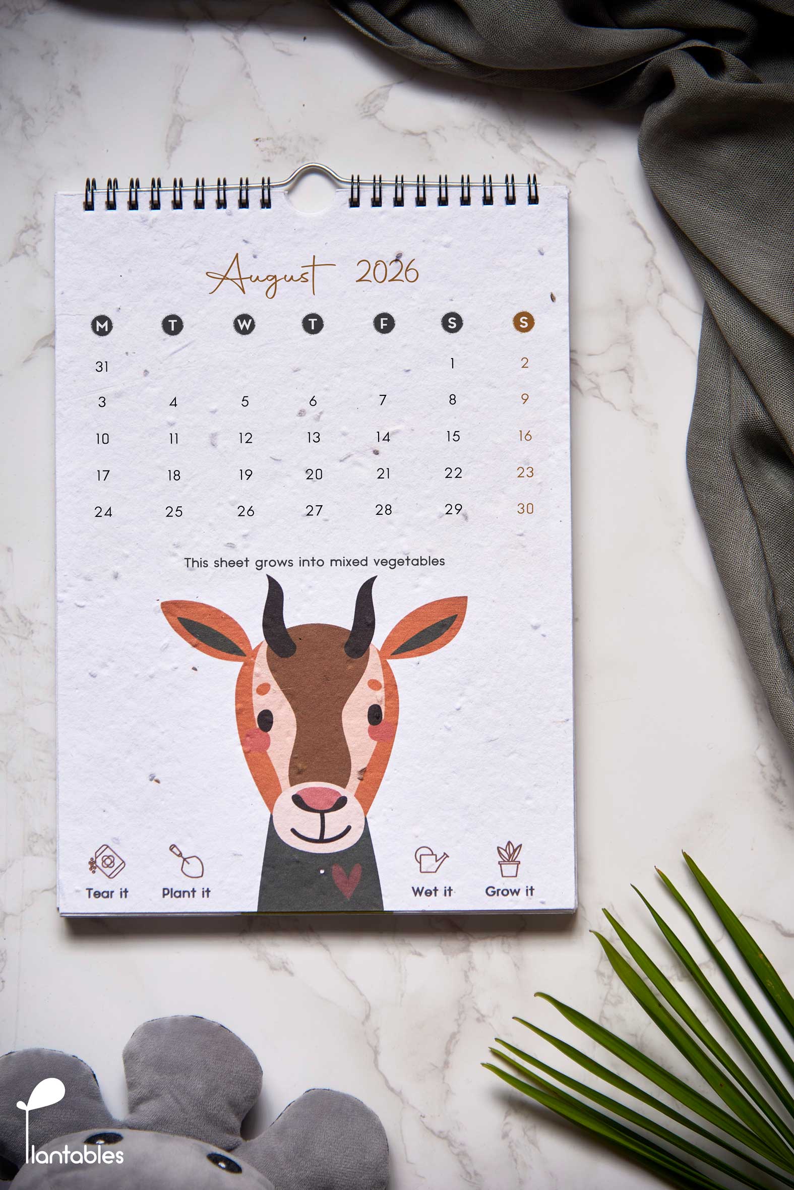 Welcome to the Jungle | A Kids Wall Calendar for 2026