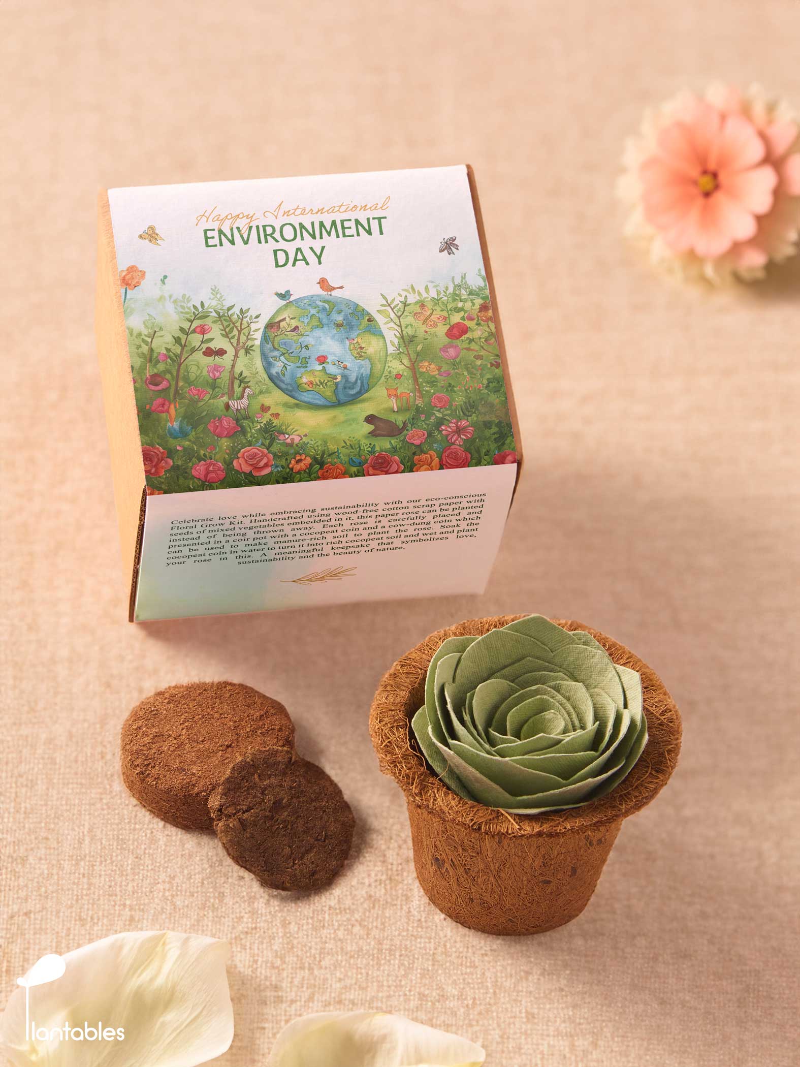 Environment Day Green Rose Grow Kit