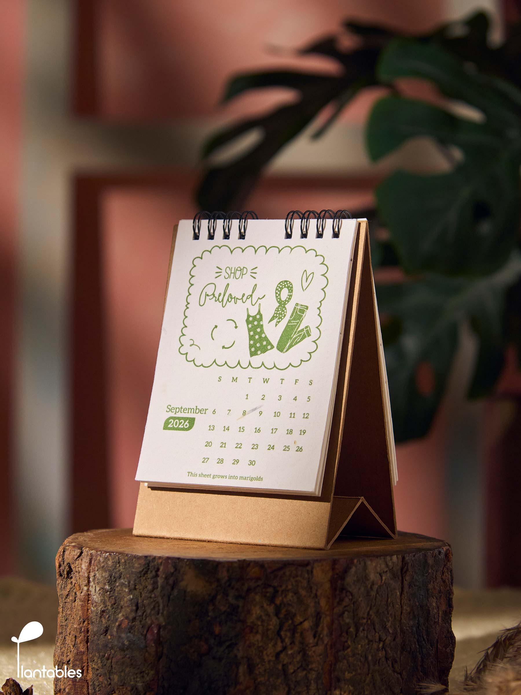 Planet Positive Calendar 2026