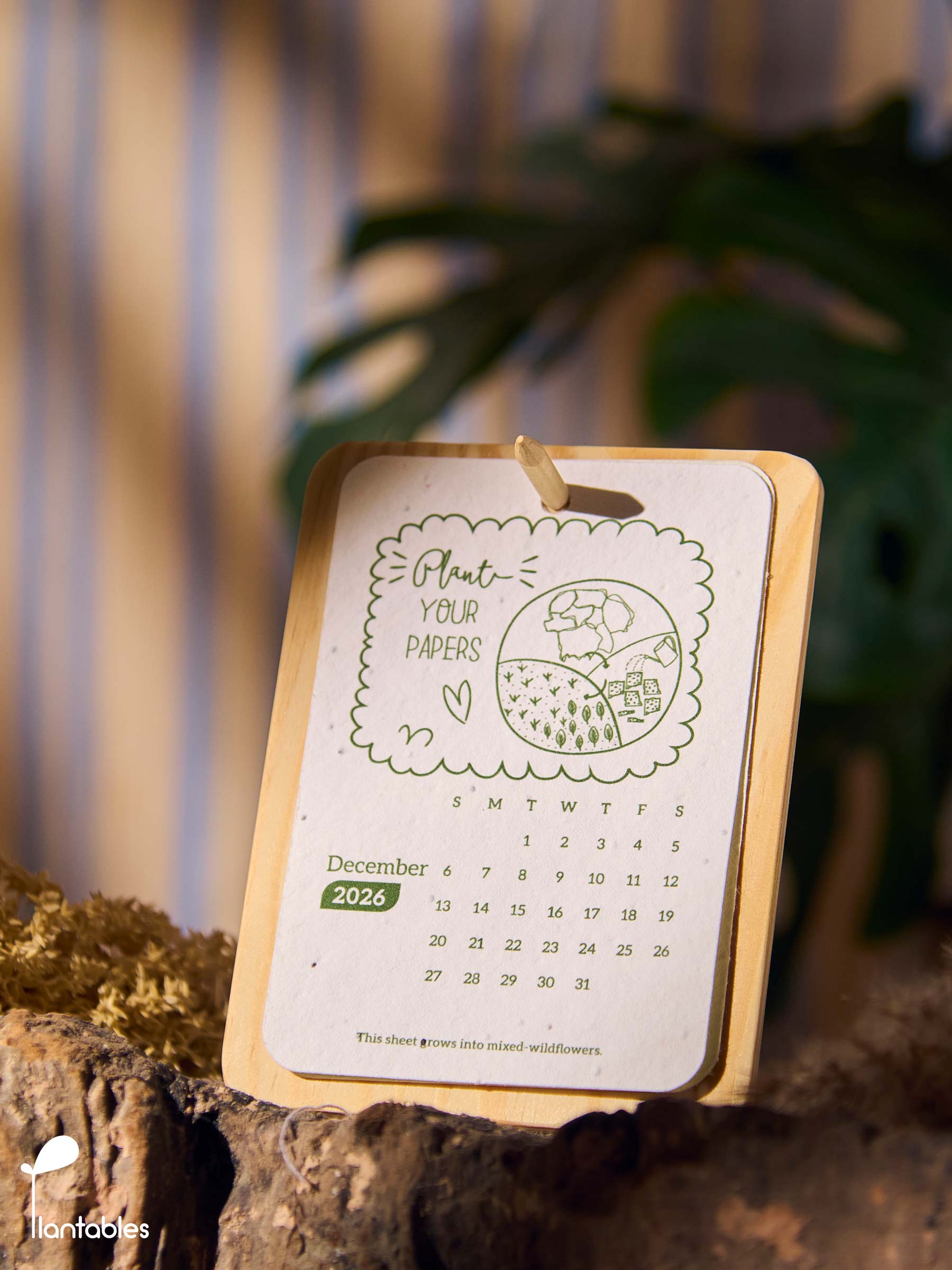 Planet Positive Calendar 2026