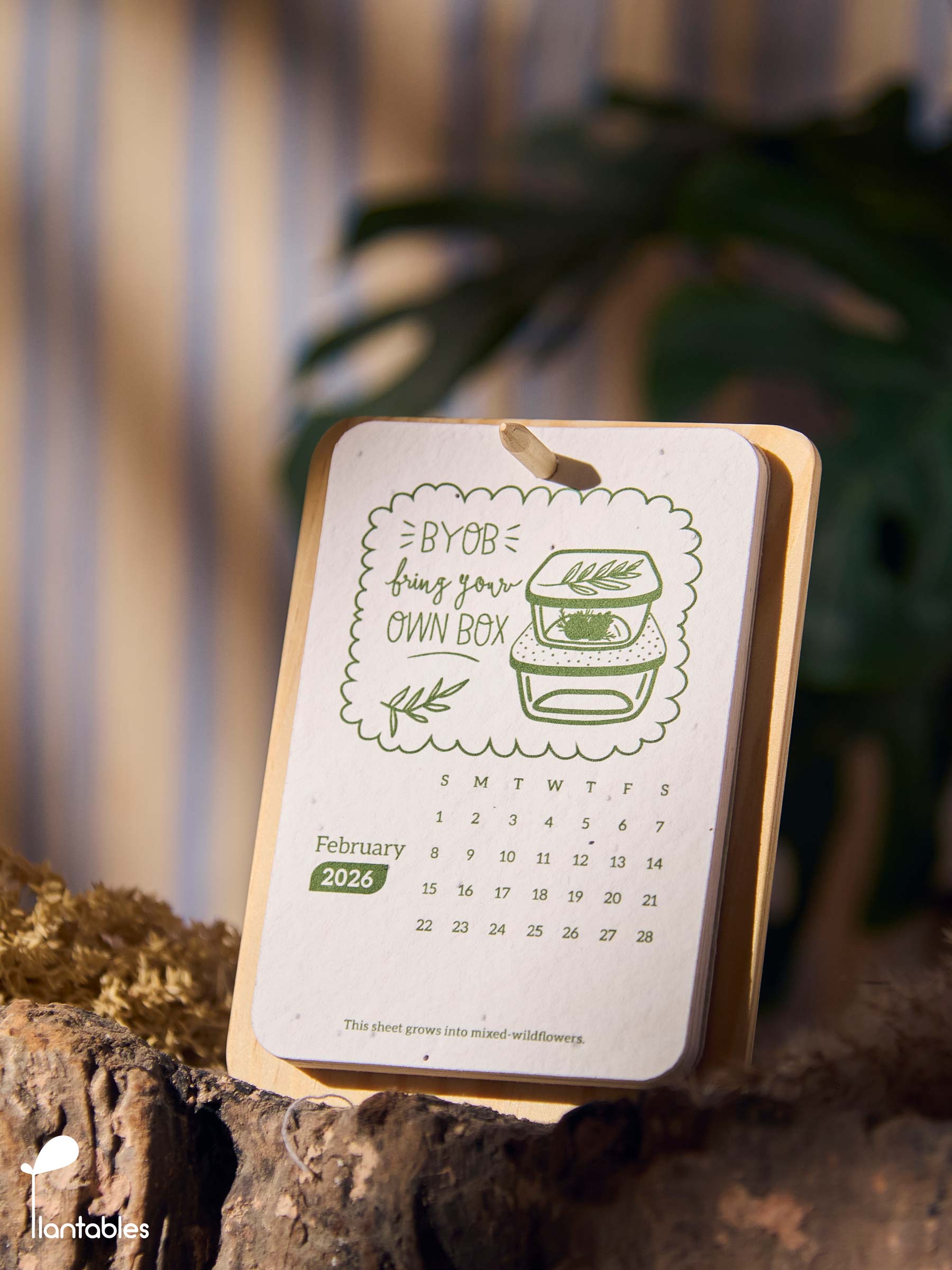 Planet Positive Calendar 2026