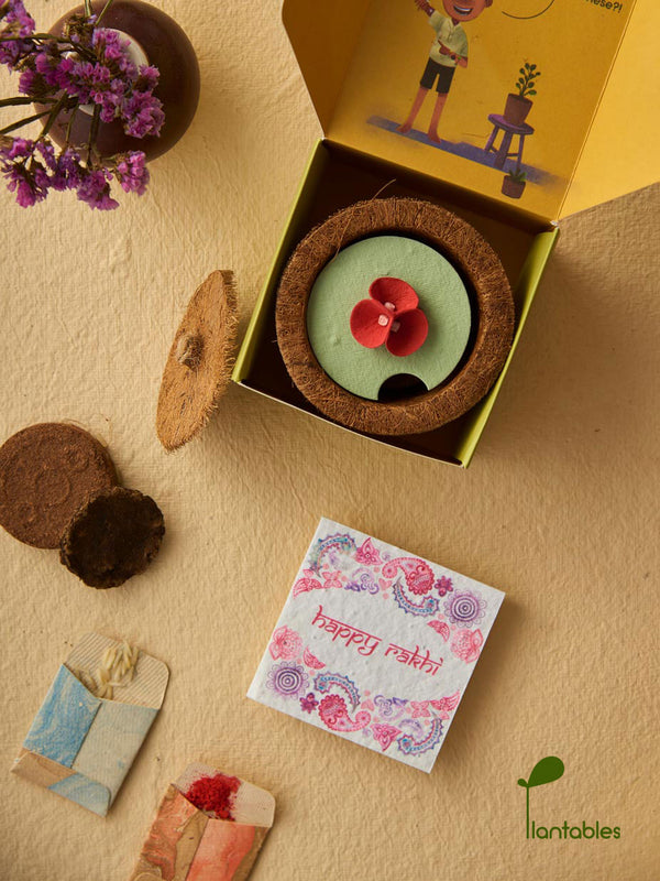 Pretty Pansy Rakhi Planting Kit