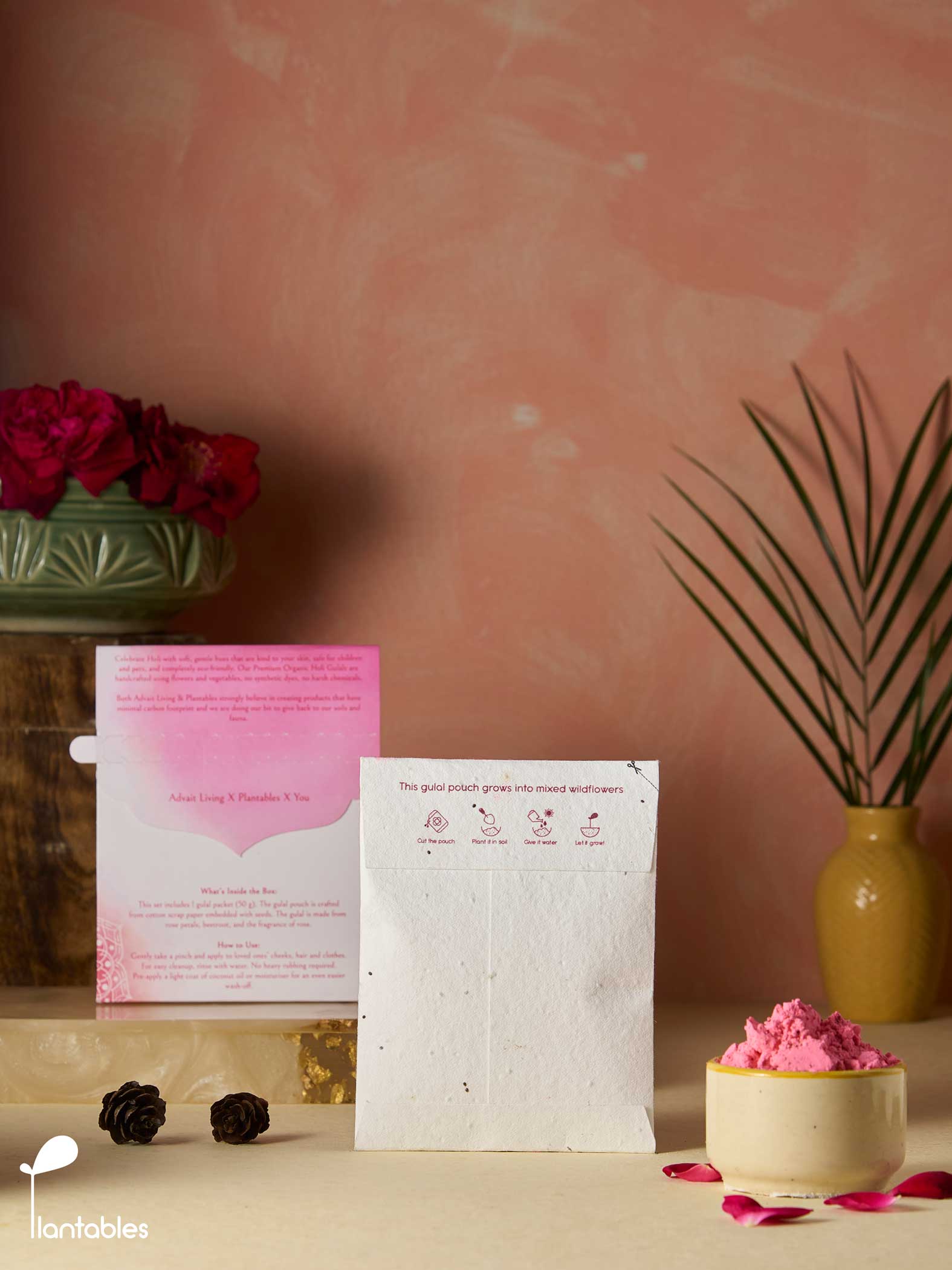 Rangrez | Pastel Pink Gulal