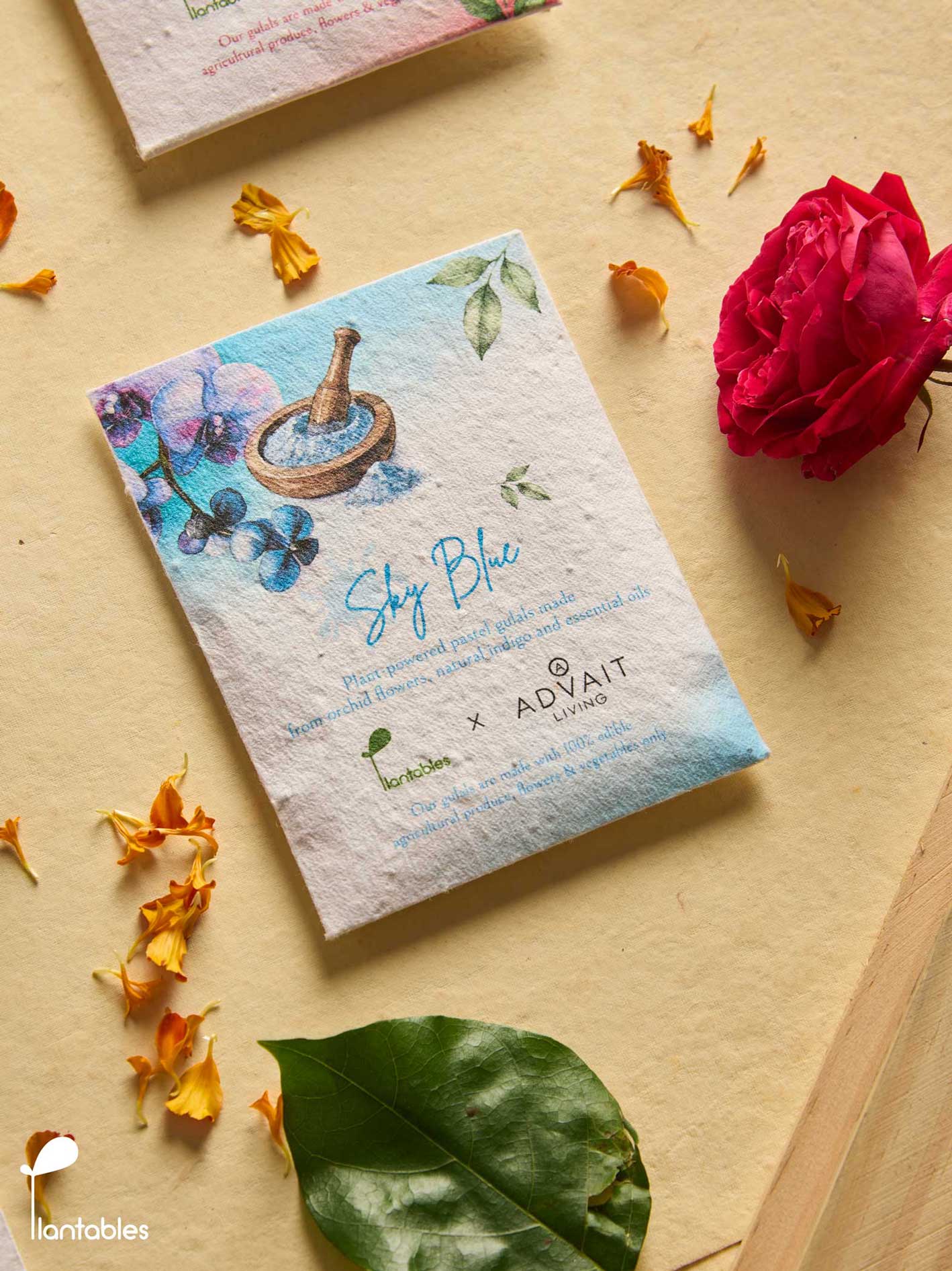 Rangrez Holi Art Kit | Organic Gulals & Plantable Postcards