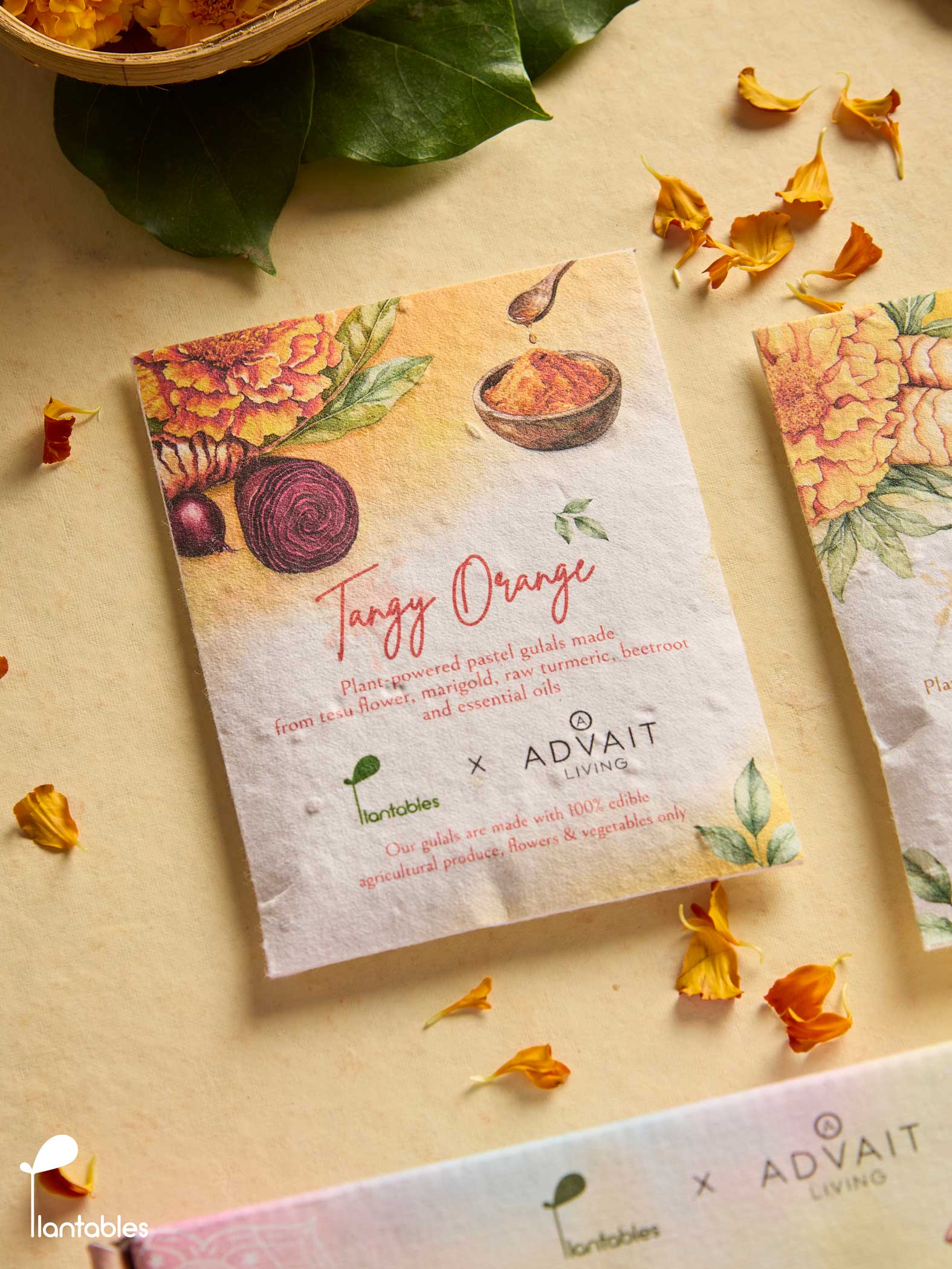 Rangrez Holi Art Kit | Organic Gulals & Plantable Postcards