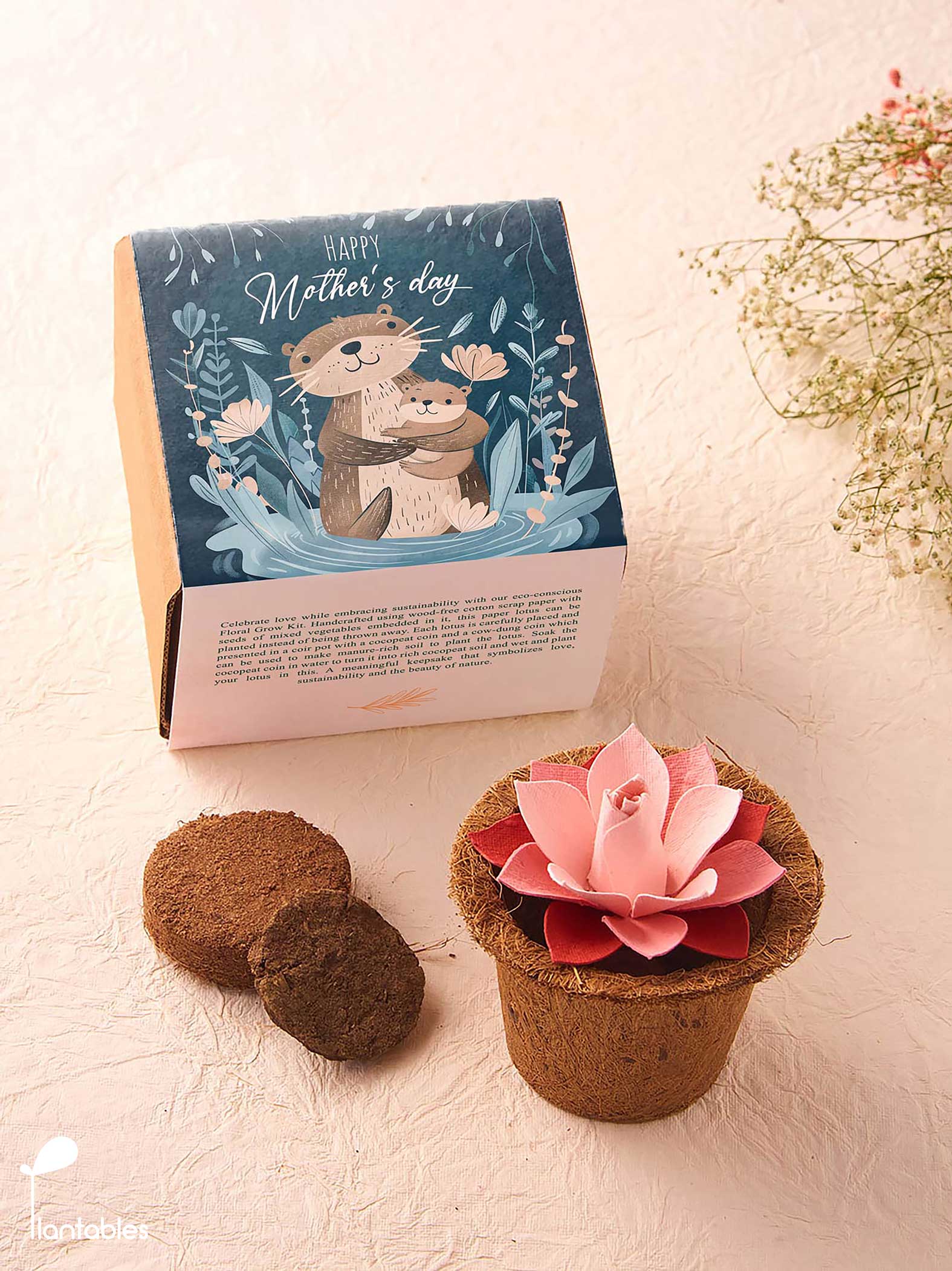 Mother's Day Lotus Grow Kit