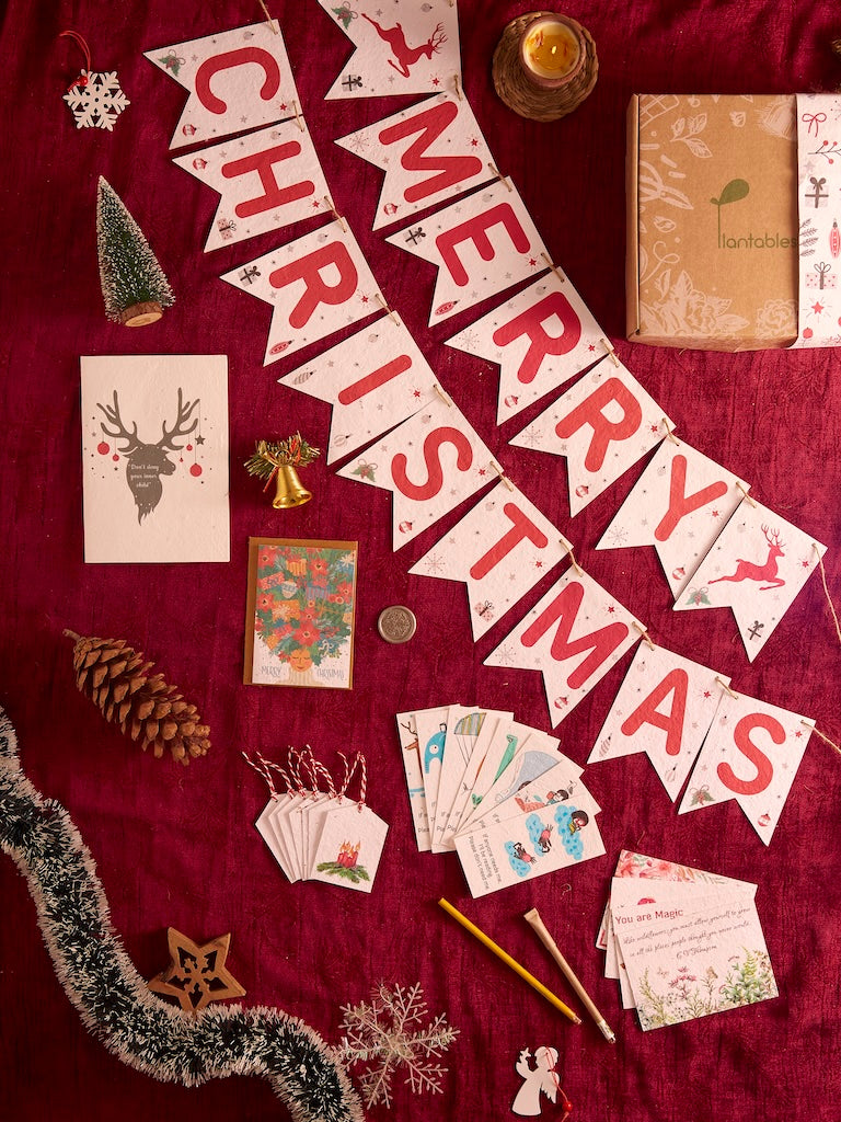 The Rudolf Kit: A Plantable Christmas Gift Kit