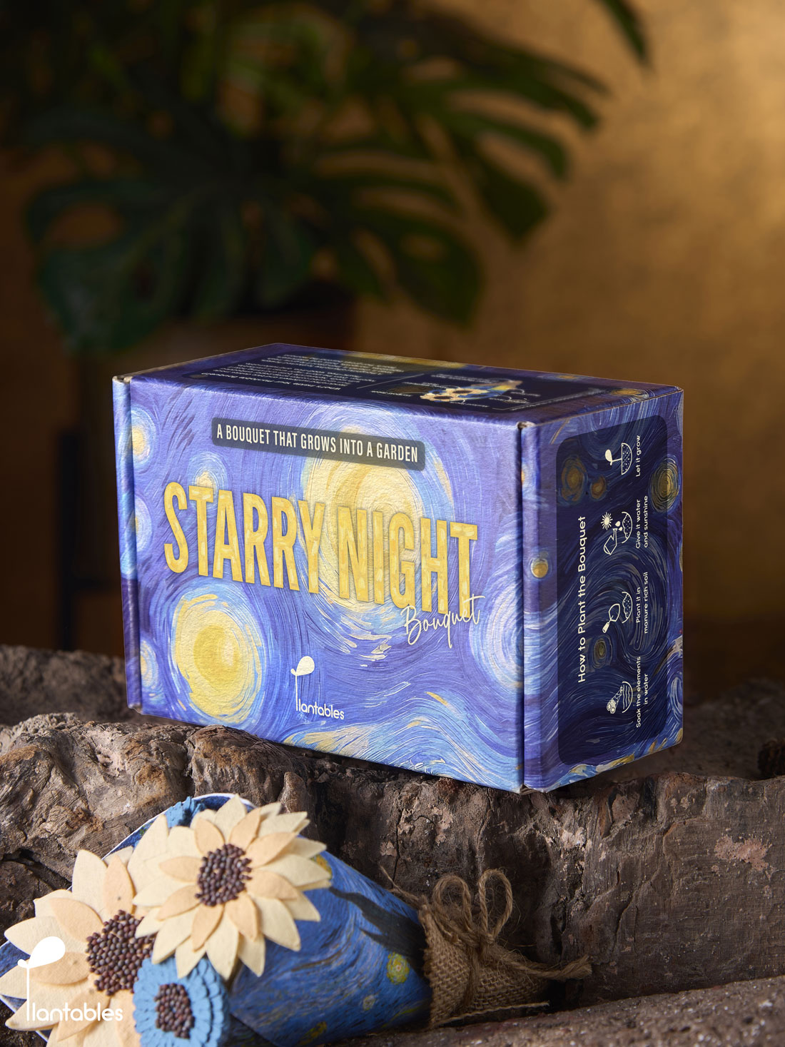 Mini Starry Night Bouquet