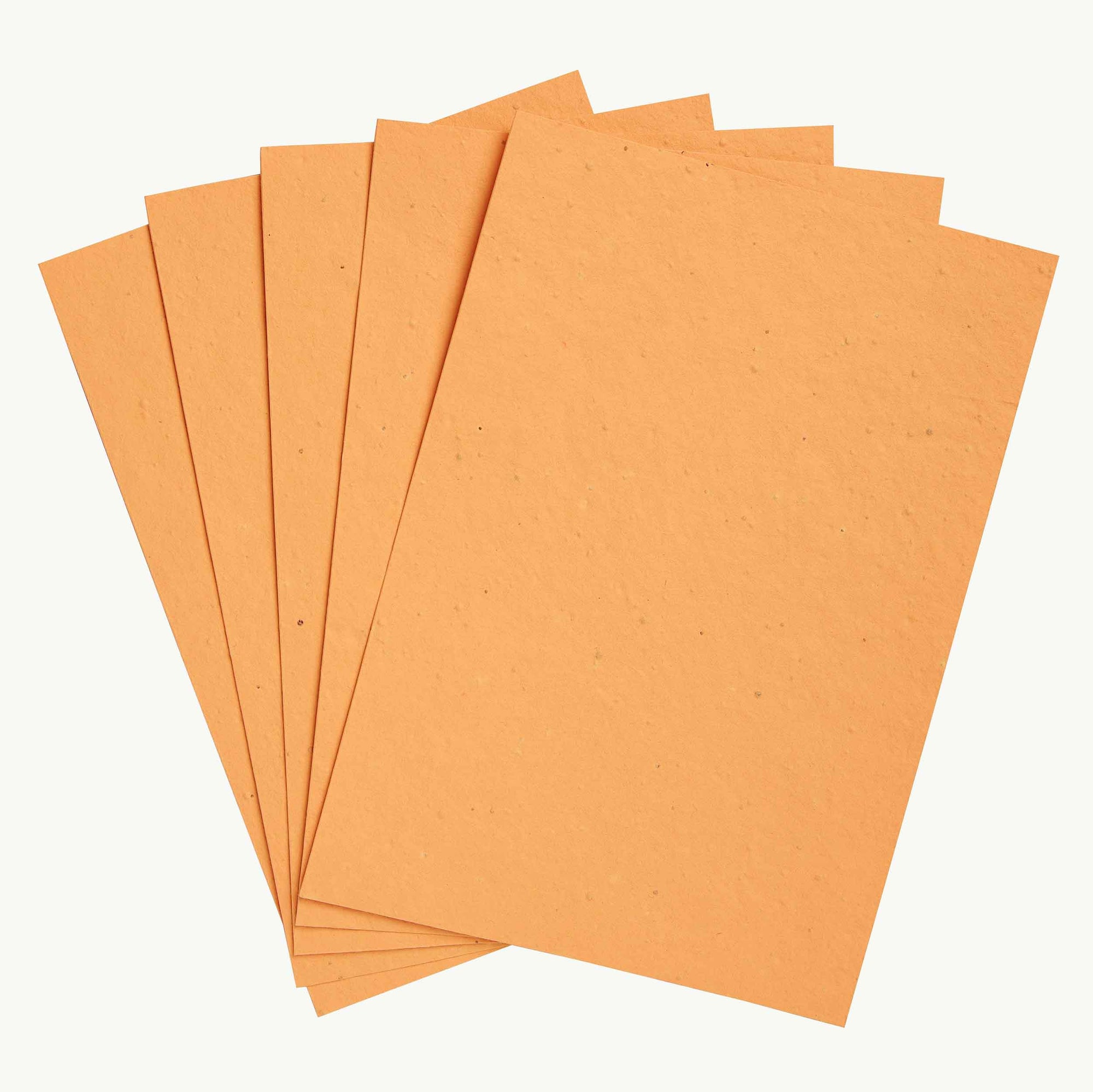 Earth conscious pastel orange mixed wildflower seed paper
