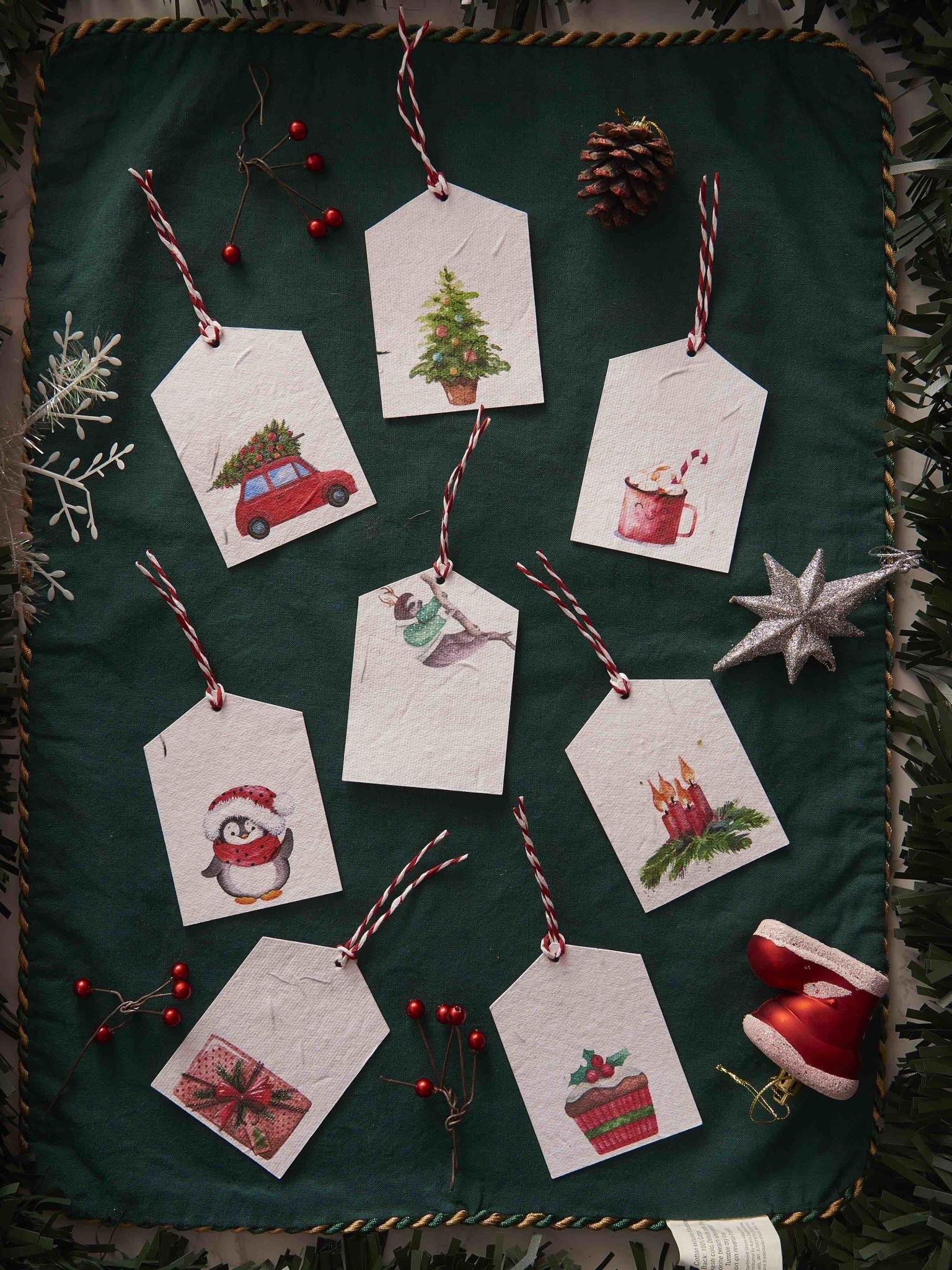 Christmas and new year themed giift tags that grows into a plant 