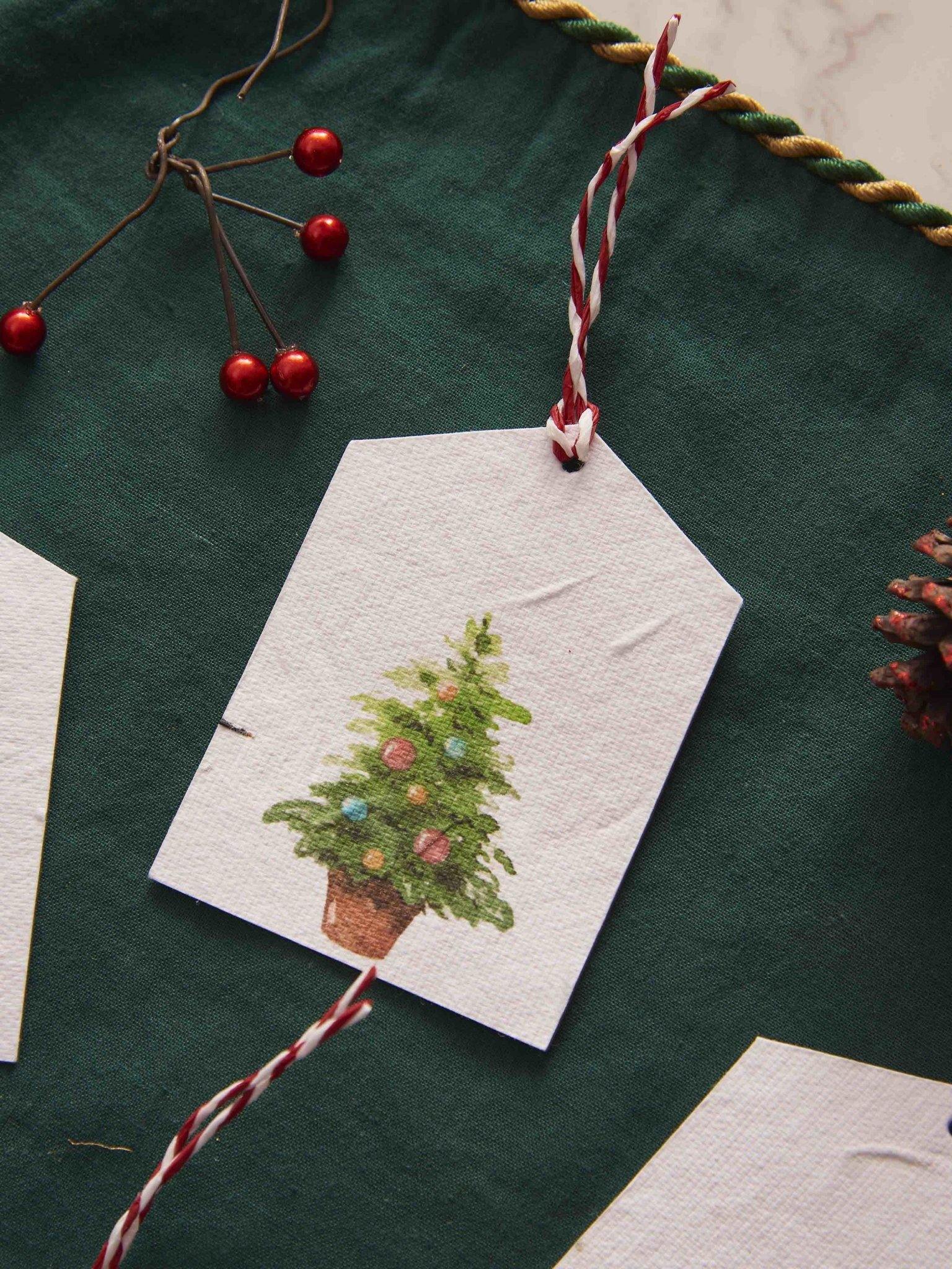 Christmas and New Year Themed Gift Tags (Set of 8) - Plantables