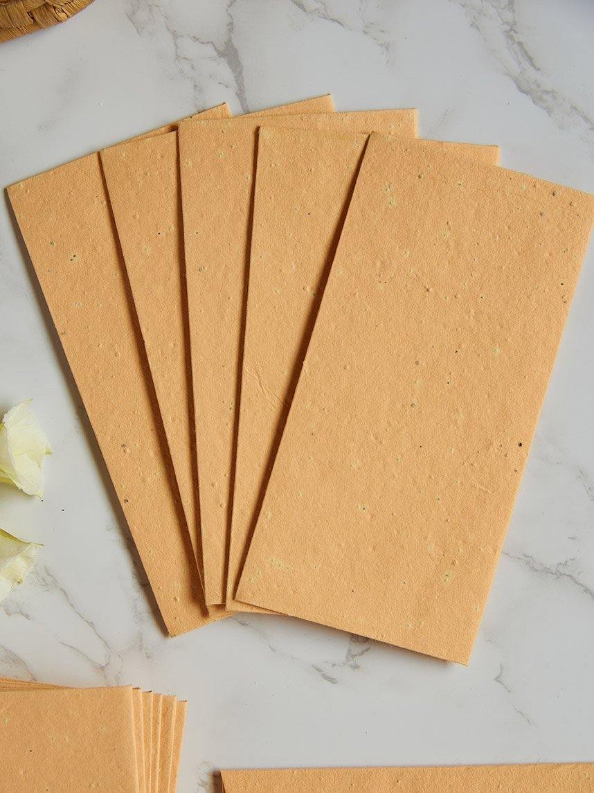Light Orange Colored Seed Paper Gift Envelopes (Set of 6) - Plantables